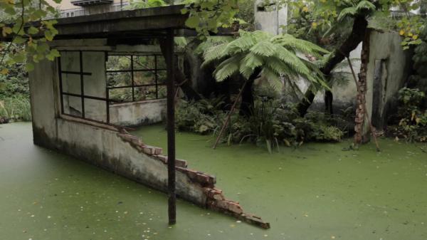 Overgrown House