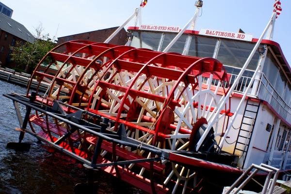 Paddle boat