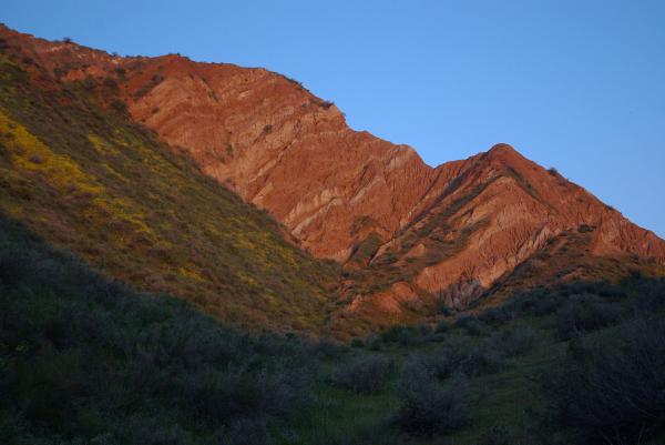 PADRONES SPRINGS -200