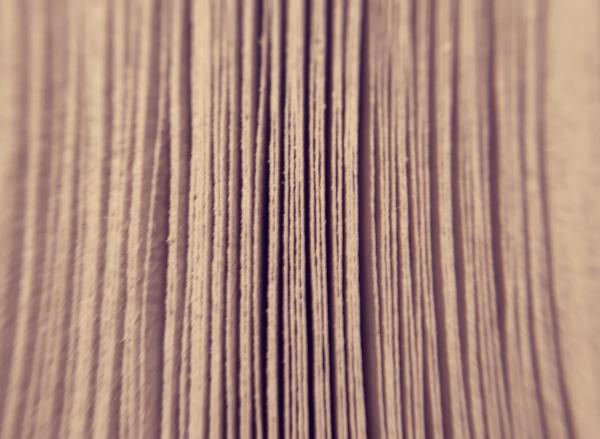 Pages from a Novel