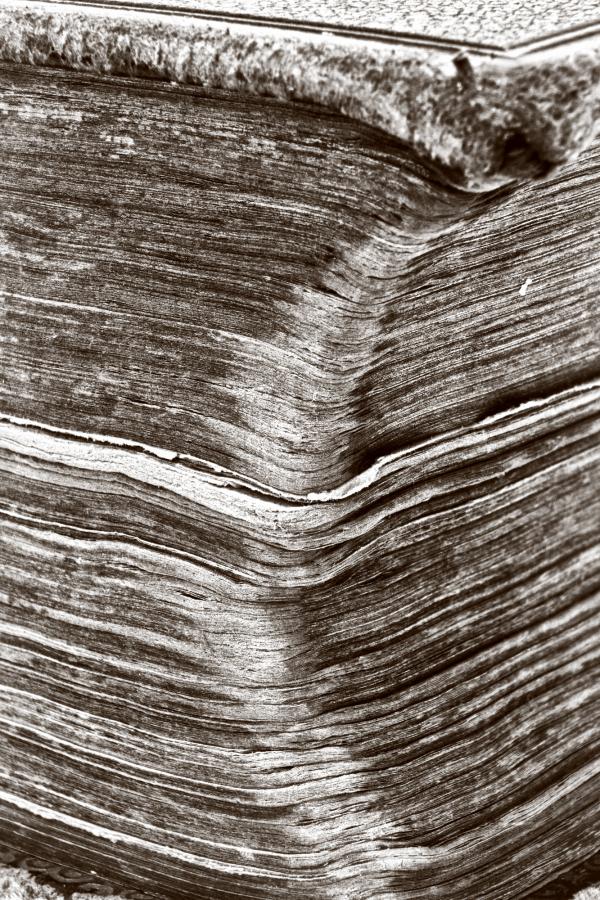 Pages of a book