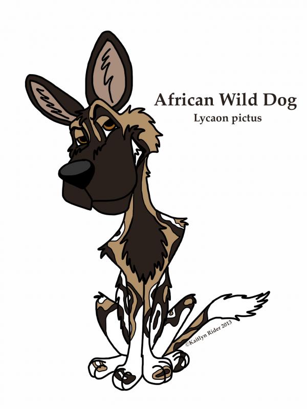 Painted Dog Cartoon