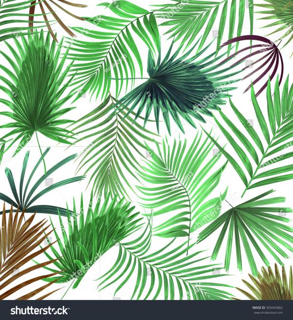 Palm Tree Background