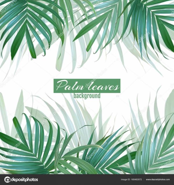 Palm Leaf Background