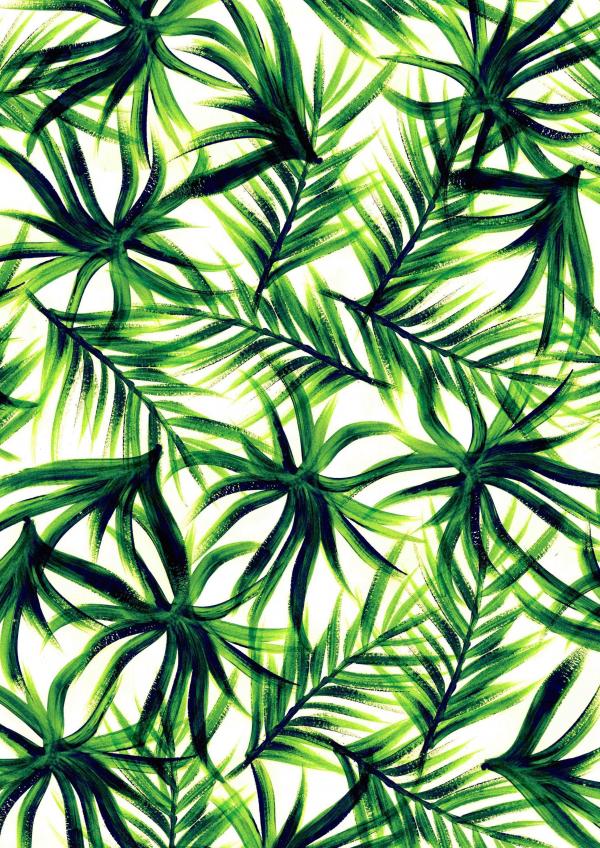 Palm Leaf Background