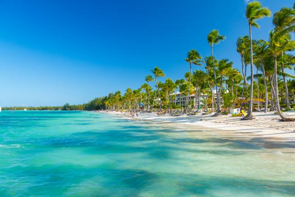 Palm trees beach