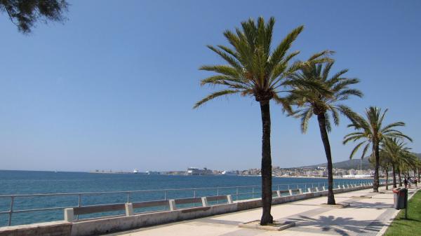 Palma