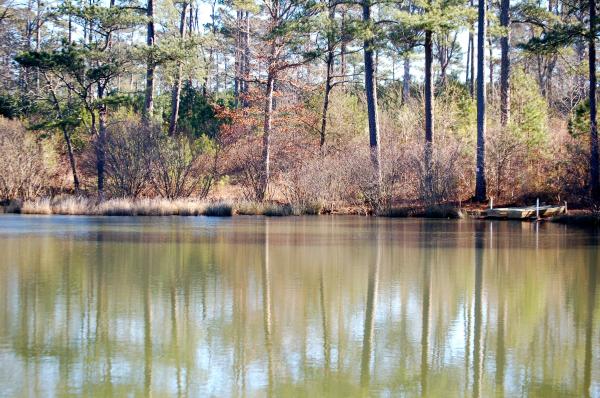 Panola state park