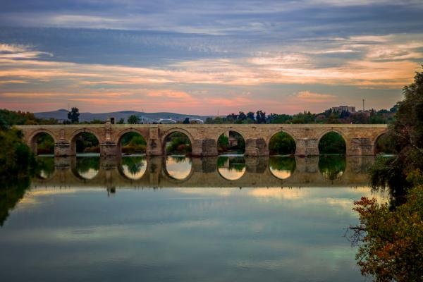 Panoramic Photo of Bridge