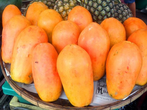 Papaya