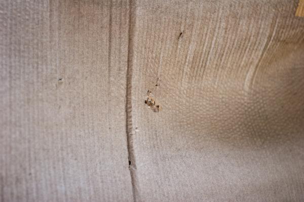 Paper Texture