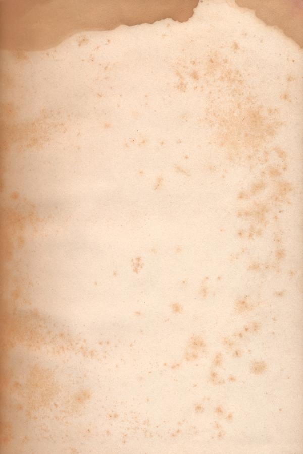 Paper Texture - Foxing Stains