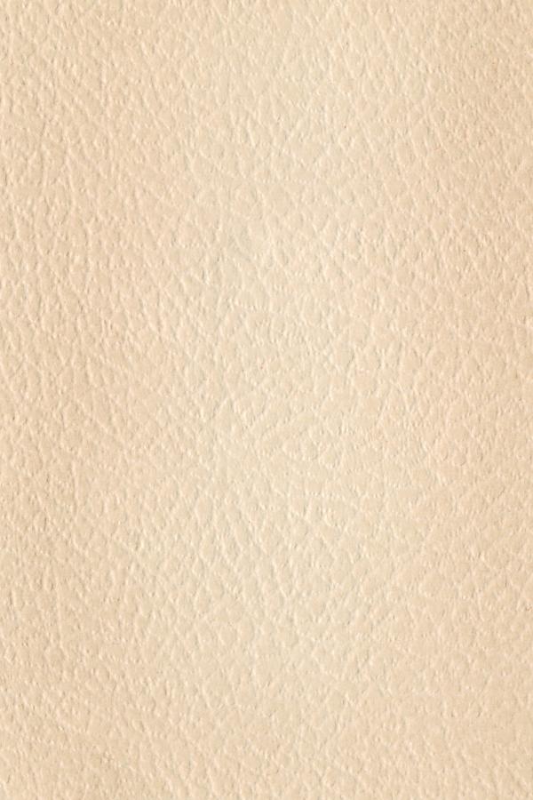 Paper Texture - White Leather