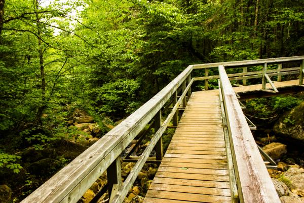 Parc national de la Jacques-Cartier
