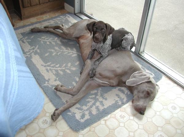 Paris sleeping with Madison