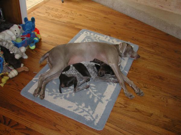 Paris sleeping with Madison
