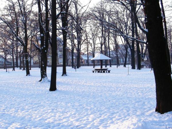 Park