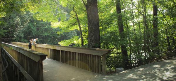 Park