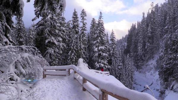 Park at winter