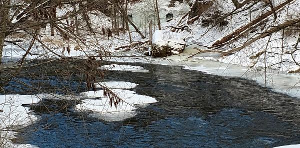 Park at winter