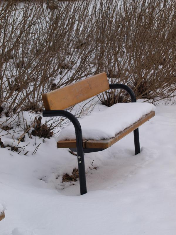 Park bench with snow