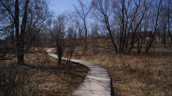 Park Route