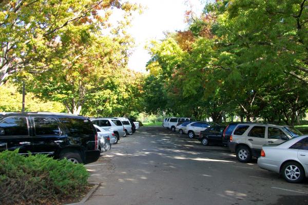 Parking tree