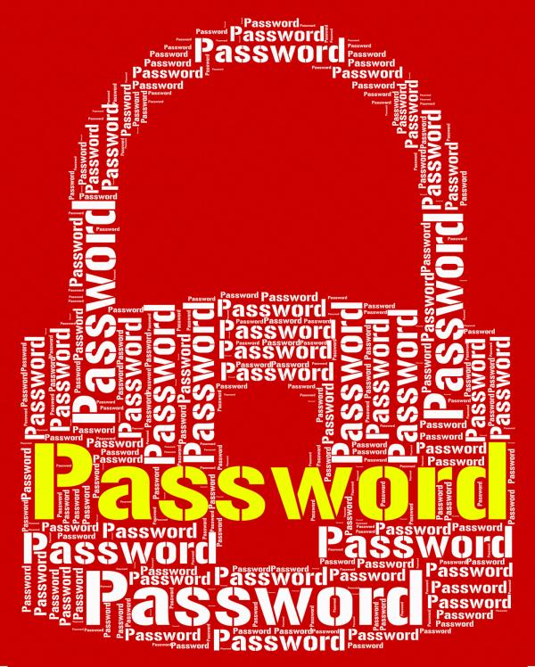 Password Lock Means Log Ins And Access