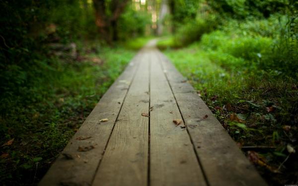 Path