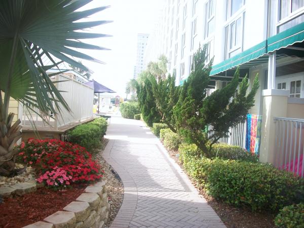 Path