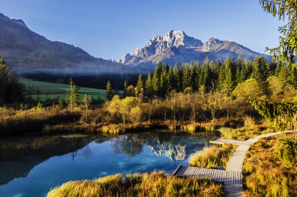 Path by Lake on Natural Landscape
