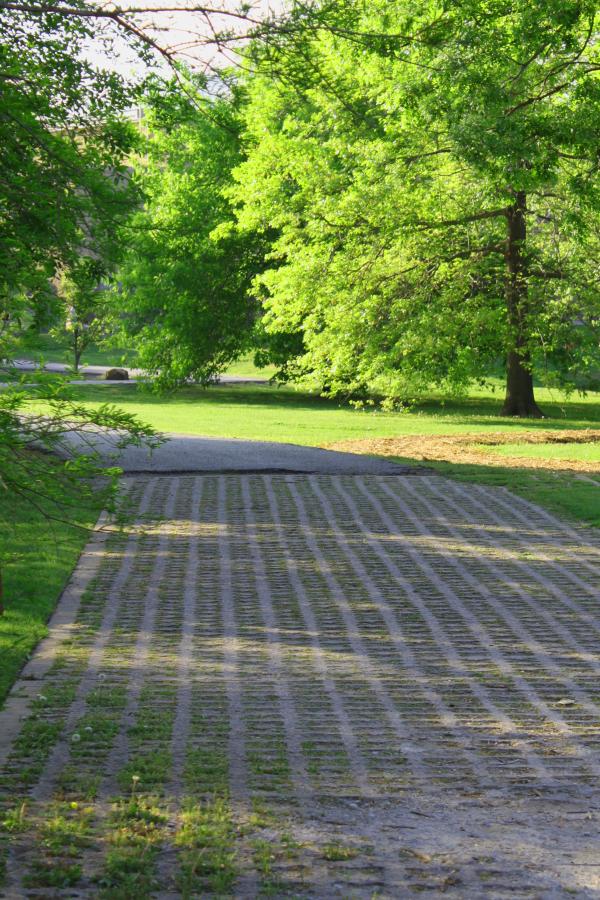 Path in a park