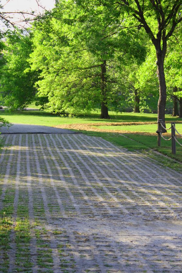 Path in a park