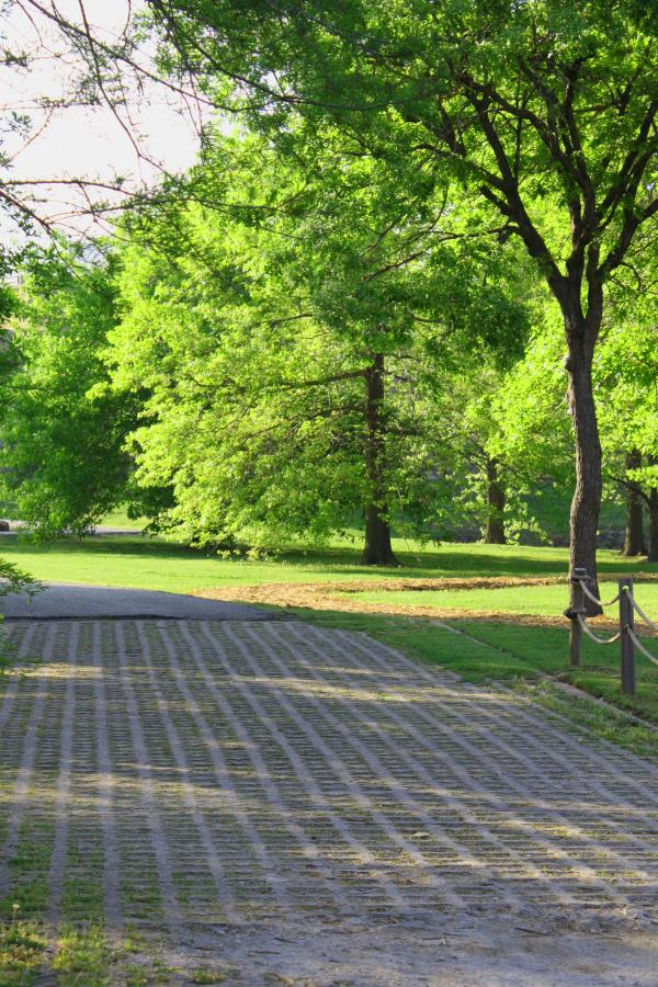 Path in a park