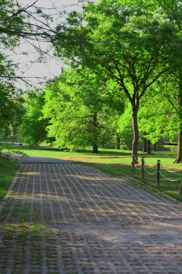 Path in a park