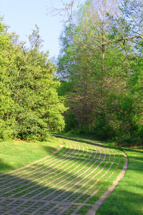 Path in a park