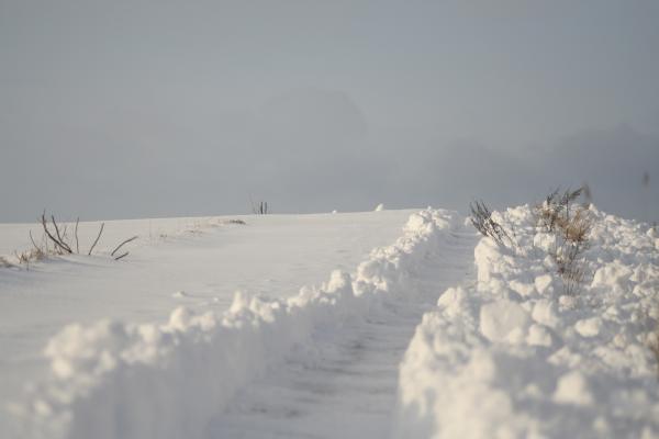 Path in the snow