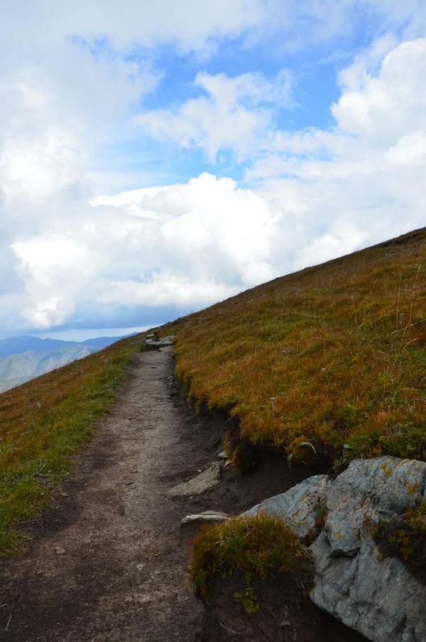 Path Though the Grasslands