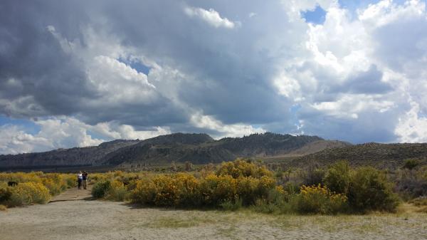 Path to Mono Lake at South Turfa