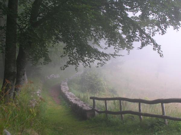 Path to nowhere