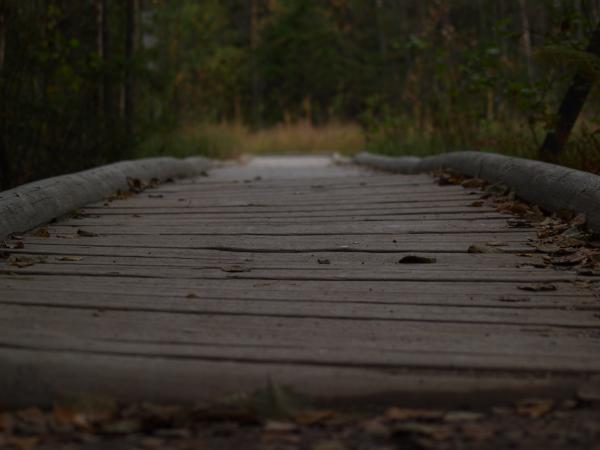 Path with wooden bridge
