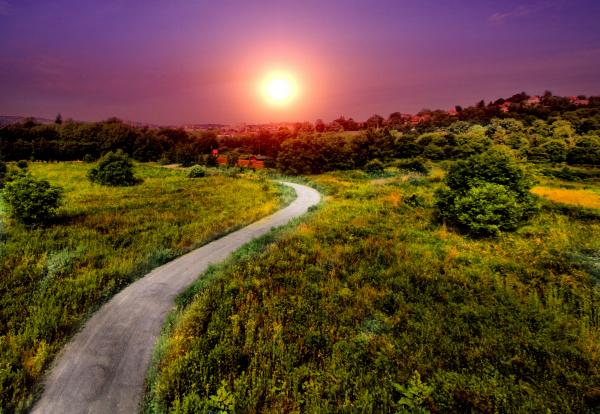 Pathway
