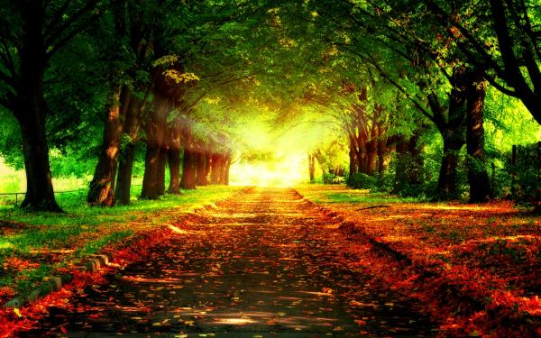 Pathway