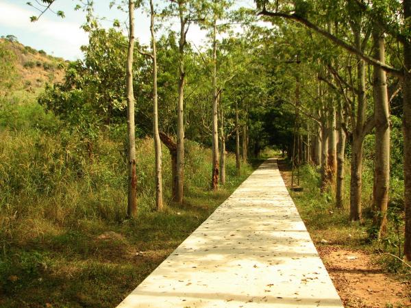Pathway
