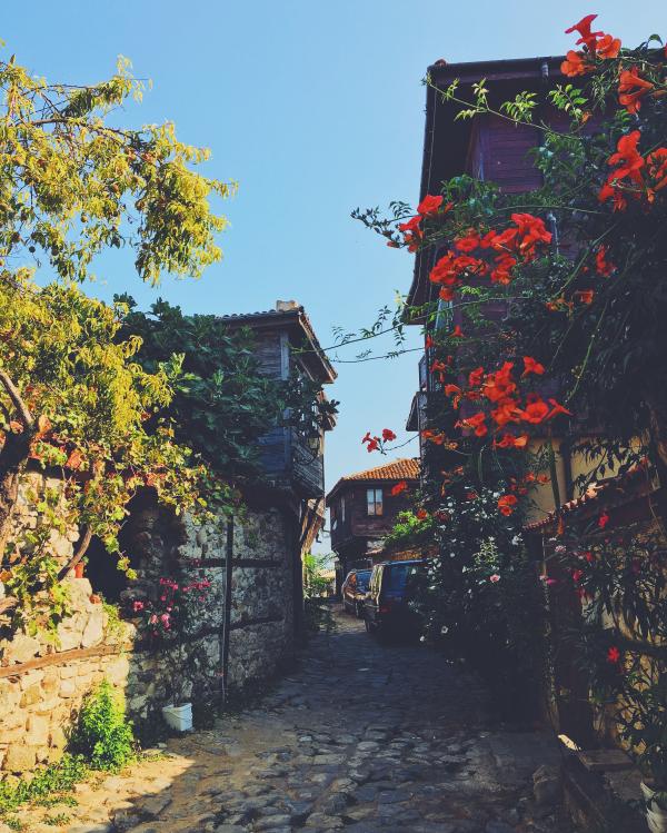 Pathway in Between Buildings With Flowers and Plants
