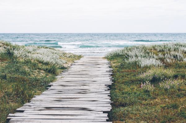 Pathway to the Beach