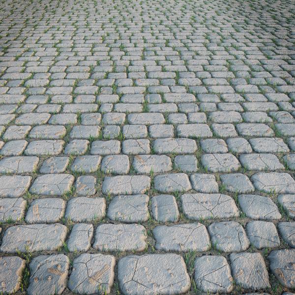 Paving Stone