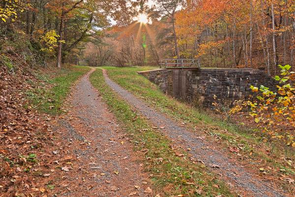 Paw Paw Sunburst Trail - HDR