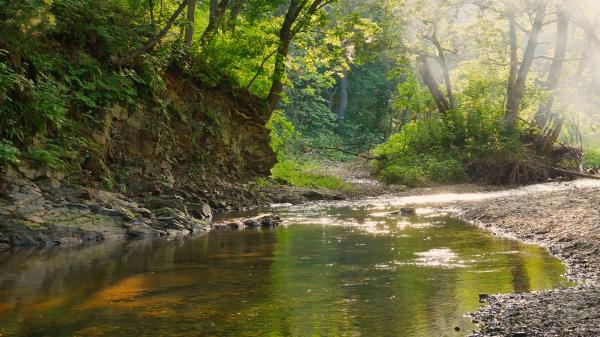 Peaceful River