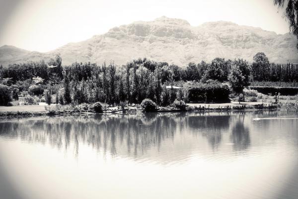Peacefull Pond